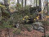 TBD Halterman Hollow Ln - Photo 5
