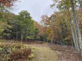 TBD Halterman Hollow Ln - Photo 6