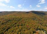 TBD Halterman Hollow Ln - Photo 7