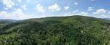 TBD Halterman Hollow Ln - Photo 9