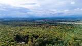 TBD Horseshoe Hollow - Photo 21