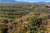 65 Mountain Deer Run - Photo 67
