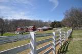 1004 Beverley St - Photo 16