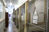 232 Mine Branch Rd - Photo 4