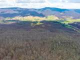3356 Jackson River Rd - Photo 52
