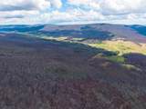 3356 Jackson River Rd - Photo 55