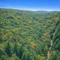 LOT 170 Forest Ridge Trl - Photo 6