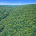 LOT 170 Forest Ridge Trl - Photo 8