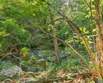 2200 Rocky Run - Photo 58