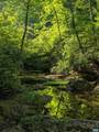 2200 Rocky Run - Photo 59