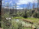 0 Willow Branch Ln - Photo 51