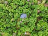 14636 Turner Run Rd - Photo 69