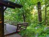 329 Jones Mountain Rd - Photo 30