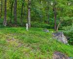 329 Jones Mountain Rd - Photo 31