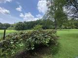 208 Mocking Bird Ln - Photo 3