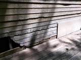 1041 Blundell Hollow Rd - Photo 5