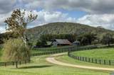 2262 Old Keswick Farm - Photo 11