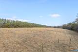 12048 Louisa Rd - Photo 49