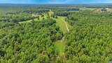 4337 Riddles Bridge Rd - Photo 43
