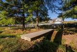3603 Rush Ln - Photo 10