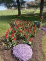 3603 Rush Ln - Photo 14