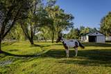 3603 Rush Ln - Photo 8