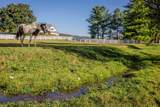 3603 Rush Ln - Photo 9