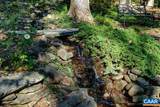 105 Saddleback Knl - Photo 65
