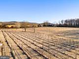 4500 Winery Ln - Photo 14