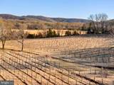 4500 Winery Ln - Photo 17