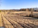 4500 Winery Ln - Photo 8