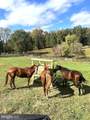 18691 Springs Rd - Photo 55