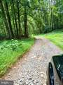 669 Gid Brown Hollow Rd - Photo 14