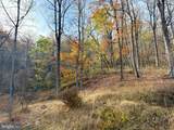 669 Gid Brown Hollow Rd - Photo 17