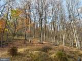 669 Gid Brown Hollow Rd - Photo 38