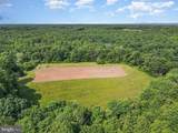 10017 Hayden Rd - Photo 7