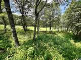 1023 Devils Knob Loop - Photo 48