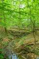 1816 Davis Shop Rd - Photo 68