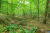1816 Davis Shop Rd - Photo 69