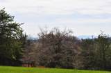 840 Commerce Rd - Photo 18