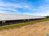 481 Race Ground Rd - Photo 51