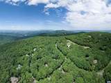 377 Devils Knob Loop - Photo 72