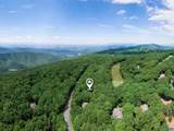 377 Devils Knob Loop - Photo 73