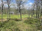 1023 Devils Knob Loop - Photo 43