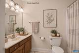 137 Diamond Ct - Photo 53