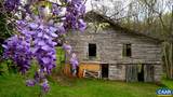 2256 Adial Rd - Photo 14