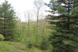625 Hummingbird Ln - Photo 53