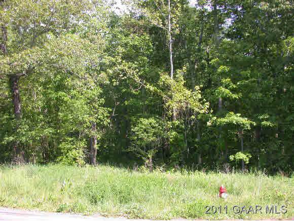TBD Mine Branch Rd - Photo 1