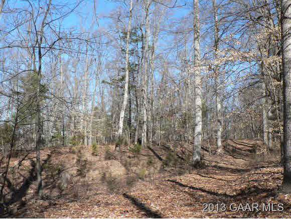 Lot 3 Gibbs Run Ln - Photo 1