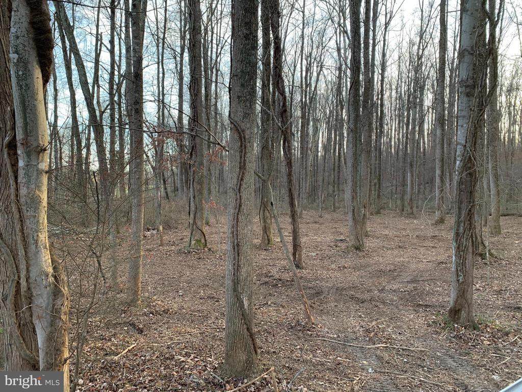 0 Hoover Rd - Photo 1